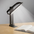 The Ambient Or Task Desk Lamp